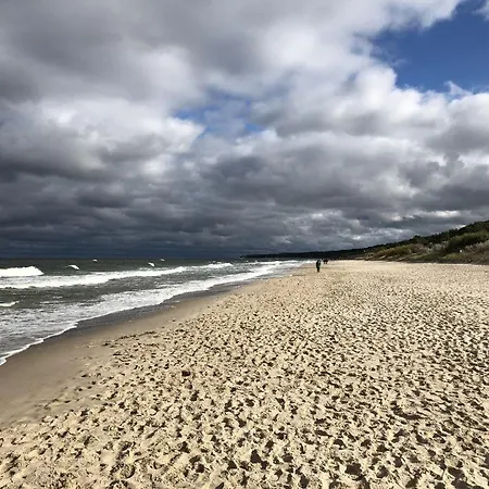 'bei Den Buchen' 泽姆平
